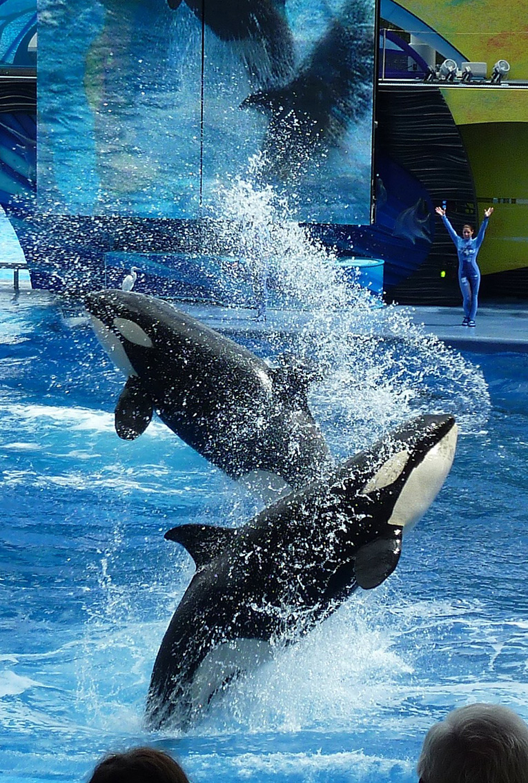 driver-business-event-visites